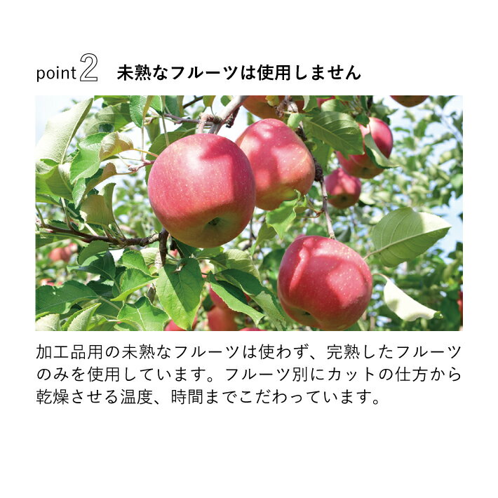 夏季限定スペシャルドライフルーツティー8点セットフルーツティードライフルーツ無添加砂糖不使用ティーバッグハーブティーCOPECOコペコ