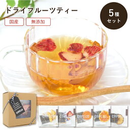 紅茶（2500円程度） ドライフルーツティー （ 紅茶 ） 5種 ギフト セット 国産 砂糖不使用 無添加 フルーツティー ドライフルーツ ティーバッグ 狭山紅茶 COPECO コペコ