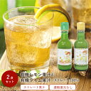 ストレート 100% 有機レモン果汁 & 有機ライム果汁 2点セット 200ml レモン博士 ライム博士 COPECO コペコ かたすみ