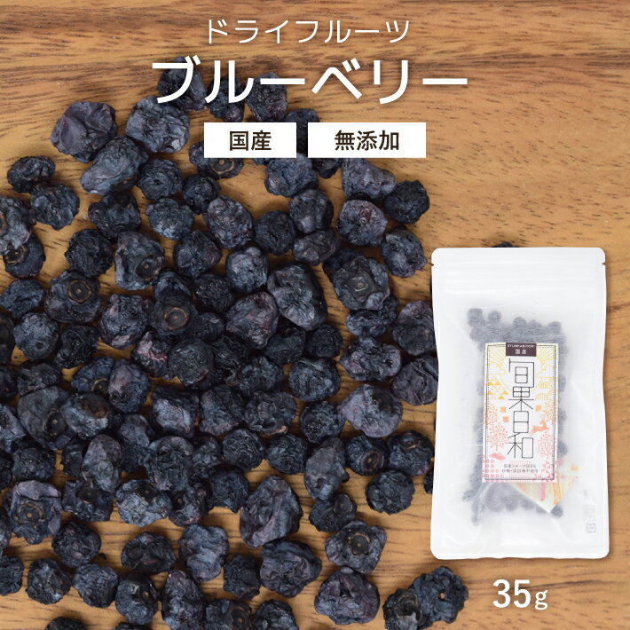 ドライフルーツ ブルーベリー 35g 無添加 砂糖不使用 国産 埼玉 ノンオイル COPECO コペコ