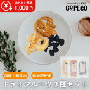 ドライフルーツ お試し 3点 セット ぶどう (ブラックビート) もも (白桃) りんご 国産 無添加 砂糖不使用 COPECO コペコ
