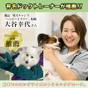 ＼ 楽天1位 送料無料 ／ [ 和田工業 ] ペット グローブ 噛みつき 引っかき 犬 猫 セーフティグローブ 牛革 厚手 保護 手袋 爬虫類 園芸 耐摩耗性 耐熱性 ロング 肘 [有名ドッグトレーナー推薦] 3