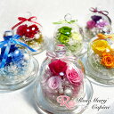 プリザーブドフラワー 母の日 花 ギフト ガラスドーム お祝い 結婚祝い 新築祝い バースデープレゼント ギフト バラ カーネーション 還暦祝い