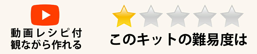ドライフラワー 手作りキット [18cm小さめリースお試しキット] 簡単かわいい選べる4色！手作りリースキット｜子ども会・高齢者施設イベント【写真解説書付き】 インテリア ナチュラル リース ハンドメイド 動画マニュアル付 ポストにお届け