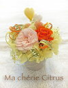 ハンドメイドキット　ドライフラワー　マシェリ-シトラス　Handmade Kit Ma cherie Citrus