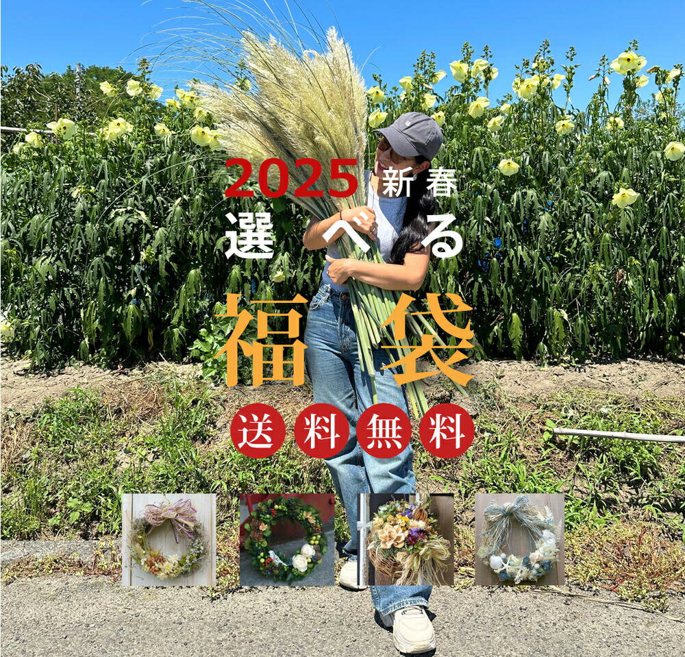 ʡ�� �ɥ饤�ե� �꡼�� ������ ���� ���� ������� ���ե� �ͤ��碌 ���å� ǯ�������� �͵� �ʥ����� ���ޤ��� �ޤȤ��㤤�����٤�꡼���Υϥå�...