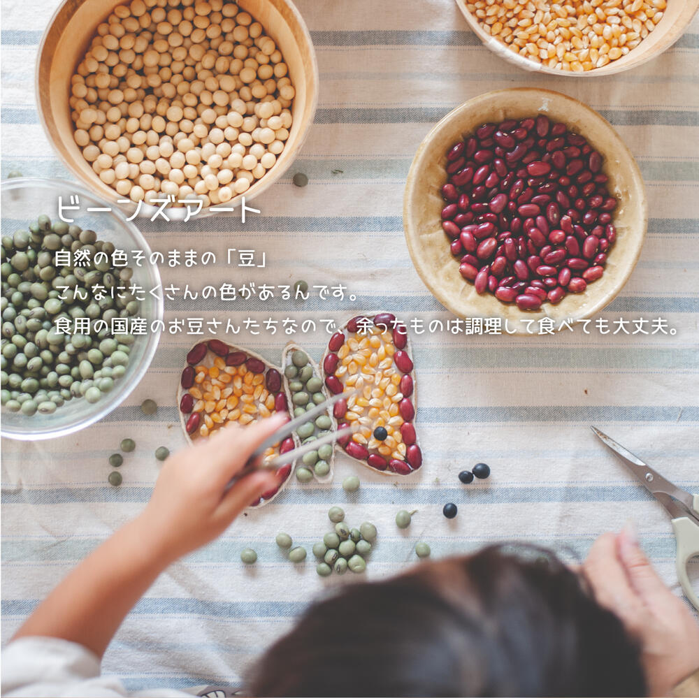 手作りキット ビーンズアートキット レシピ付 ハンドメイド キット 子供 大人 工作 小学校 授業 女の子
