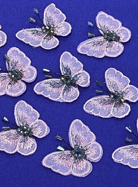 224202òۥ ӡ 1ñ ĳ 祦 ° ϥɥᥤ     ޥ ʪ 