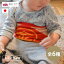 【在庫限り】腹巻き 子供用 ニット ハラマキ 厚手 綿 暖かい 温活 冷え性 あったか 冬 寒さ対策 子供 ウエストウォーマー ルームウェア 日本製 キャラクター ウール 防寒 インナー 冷え取り カイロ 湯たんぽ プレゼント 小さめ キッズ ベビー ギフト かわいい