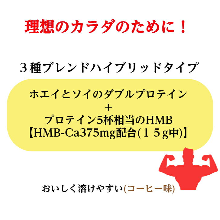 プロテイン オリヒロ アクティブプロテイン H...の紹介画像2