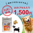 サプリメント 老犬 シニア いぬ イヌ お試し用 免疫力 免疫 を守る 健康 維持 健康食品 元気 高める アップ 冬虫夏草 コルディ パウダー カプセル ペット用 ペット ＜コルディカプセル＞