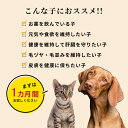 ＼28時間限定★タイムセール　5/9 20:00～5/10 23:59／ 犬 猫 プラセンタ 犬用 猫用 サプリメント サプリ ペット用 肝臓 皮膚 健康維持 毛艶 毛並み ふさふさ ツヤツヤ ウサギ 胎盤粉 シニア ビール酵母 カキ肉エキス 肝機能を保つ プラセンタ12000 5g 3