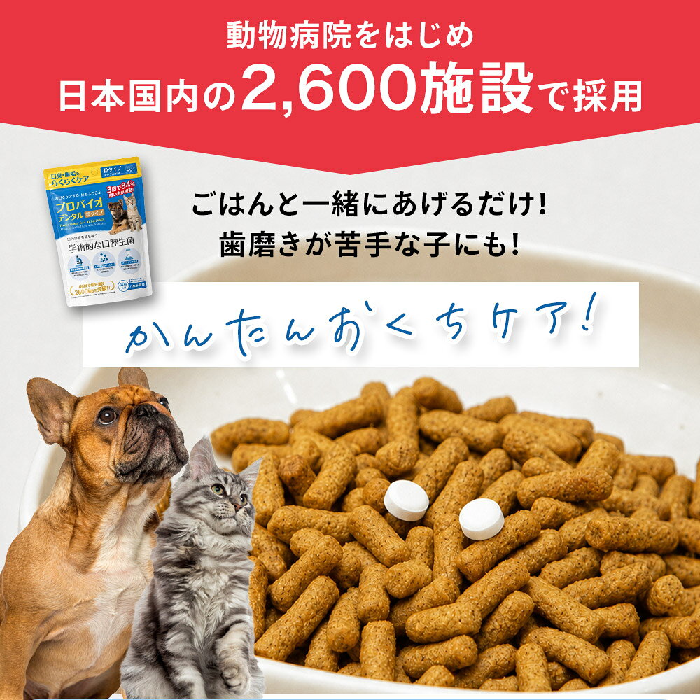 ＜発売記念！送料無料＞犬 猫 サプリメント デンタルケア プロバイオデンタル タブレットタイプ 10g（1粒250mg×40粒） 口臭 口腔ケア 善玉菌 乳酸菌 K12 M18 ふりかけ 粒 錠剤 オーラルケア 腸内環境 シニア オールステージ 歯みがき cordy-10000732 人とペットのサプリ専門店モノリス サンプル画像2