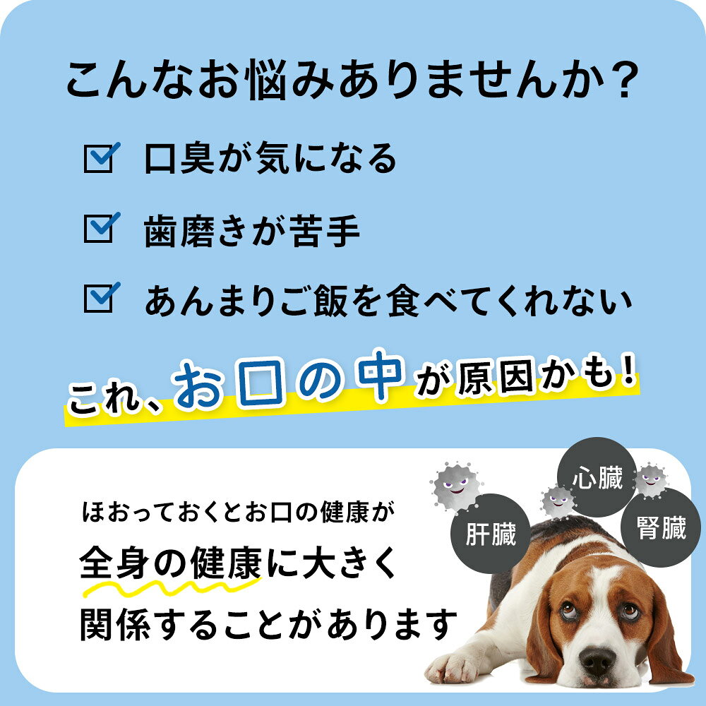 ＜発売記念！送料無料＞犬 猫 サプリメント デンタルケア プロバイオデンタル タブレットタイプ 10g（1粒250mg×40粒） 口臭 口腔ケア 善玉菌 乳酸菌 K12 M18 ふりかけ 粒 錠剤 オーラルケア 腸内環境 シニア オールステージ 歯みがき cordy-10000732 人とペットのサプリ専門店モノリス サンプル画像3