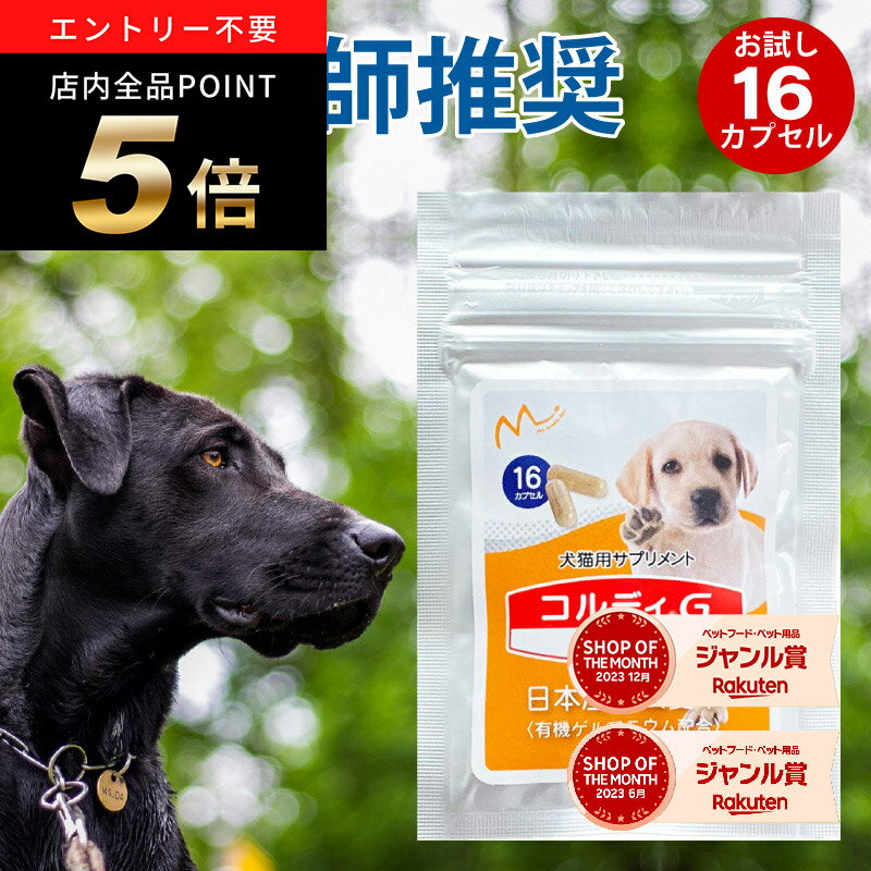 ＼ポイント最大8倍！ご愛顧デー／サプリメント 老犬 