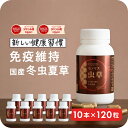 【”明日の元気”に 国産冬虫夏草】冬虫夏草 サプリメント サプリ シニア 国産 免活サプリ 免活 免疫力 維持 男性 妊活 女性 モノリス虫草カプセル 日本産 父の日 健康食品 持続力 スタミナ やる気 キノコ きのこ アップ【あす楽】 <10本セット> jgy