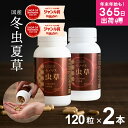 冬虫夏草 サプリメント サプリ シニア 国産 免活サプリ 免活 免疫力 維持 男性 妊活 女性 モノリス虫草カプセル 日本産 父の日 健康食品 持続力 スタミナ やる気 キノコ きのこ アップ 【あす楽】 <2本セット> jgy