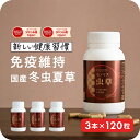 【”明日の元気”に 国産冬虫夏草】冬虫夏草 サプリメント サプリ シニア 国産 免活サプリ 免活 免疫力 維持 男性 妊活 女性 モノリス虫草カプセル 日本産 父の日 健康食品 持続力 スタミナ やる気 キノコ きのこ アップ【あす楽】 <3本セット> jgy
