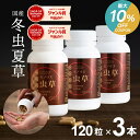 \ワンダフルデーはP3倍&最大10%OFF!/冬虫夏草 サプリメント サプリ シニア 国産 免活サプリ 免活 免疫力 維持 男性 妊活 女性 モノリス虫草カプセル 日本産 父の日 健康食品 持続力 スタミナ やる気 キノコ きのこ アップ <3本セット> jgy