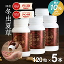 \ワンダフルデーはP3倍&最大10%OFF!/冬虫夏草 サプリメント サプリ シニア 国産 免活サプリ 免活 免疫力 維持 男性 妊活 女性 モノリス虫草カプセル 日本産 父の日 健康食品 持続力 スタミナ やる気 キノコ きのこ アップ <5本セット> jgy