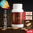 \ワンダフルデーはP3倍&最大10%OFF!/サプリメント サプリ シニア 国産 免活サプリ 免活 免疫力 維持 男性 妊活 女性 モノリス虫草カプセル 日本産 父の日 健康食品 持続力 スタミナ やる気 キノコ きのこ アップ jgy