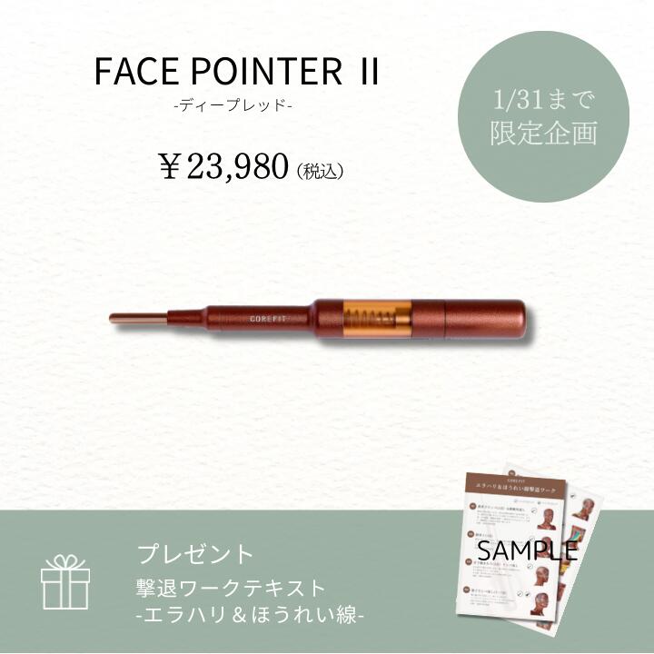 Face Pointer 2（ディープレット）特別ワークテキストセット_2501CA