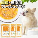 わんこ亭【無農薬旬菜コトコト煮（120g）3袋セット】｜国産 食品添加物無添加 栄養補完食 ウェットフード フレッシュフード レトルトフード ドックフード ペットフード レトルト トッピング ふりかけ 手づくり ごはん 野菜 小型犬 中型犬 京都 宇治 ヤマサン