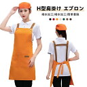 【最大1000円OFFクーポン&ポイント5倍】エプロン 保育士 カフェエプロン おしゃれ 首掛け カフェエプロン 男女兼用 H型 長さ調整 大容量ポケット 防汚撥水 シワ防止 業務用 多用途 無地 軽量 家庭 キャンバス 作業 カフェ 保育士 喫茶店 幼稚園 BBQ 男性用 女性用 おしゃれ
