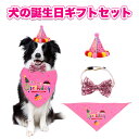 【マラソン期間1000円OFFクーポ＆P5】ペット 誕生日 犬 猫 HAPPY BIRTHDAY 3点セット 飾り付け 犬 猫 バースデー クリスマス 記念日 バンダナ 蝶ネクタイ首輪 ガーランド よだれかけ お誕生日 飾り付け 写真撮影 プレゼント ペット バースデーセット