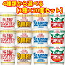 【ブラックフライデー限定】 4種類 カップヌードル レギュラー カレー シーフード チリトマト 20個セット