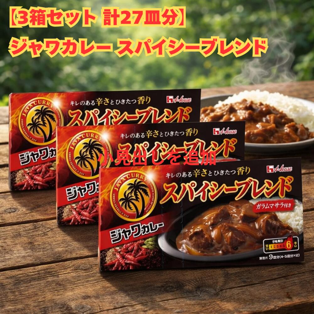 【3箱セット 計27皿分】 ハウス ジャワカレー スパイシーブレンド 191g (POS)
