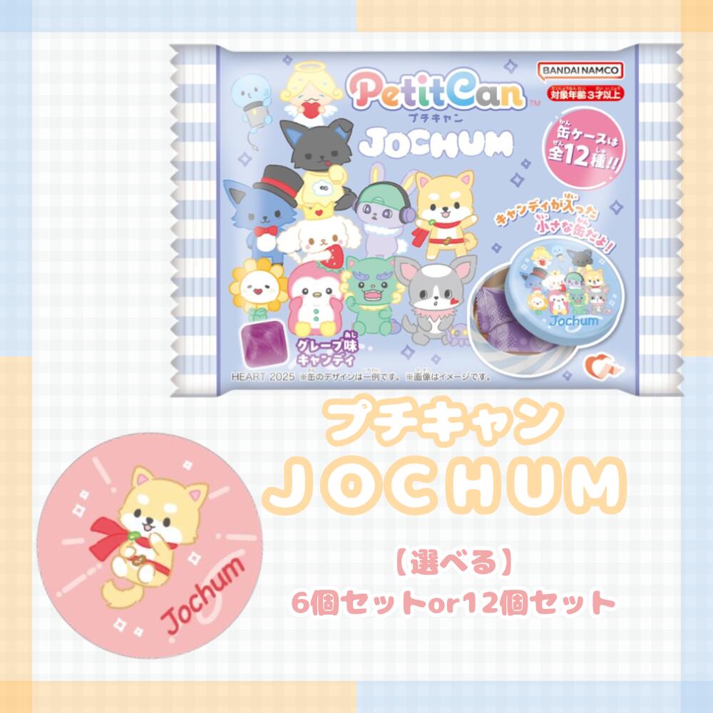 プチキャンJOCHUM