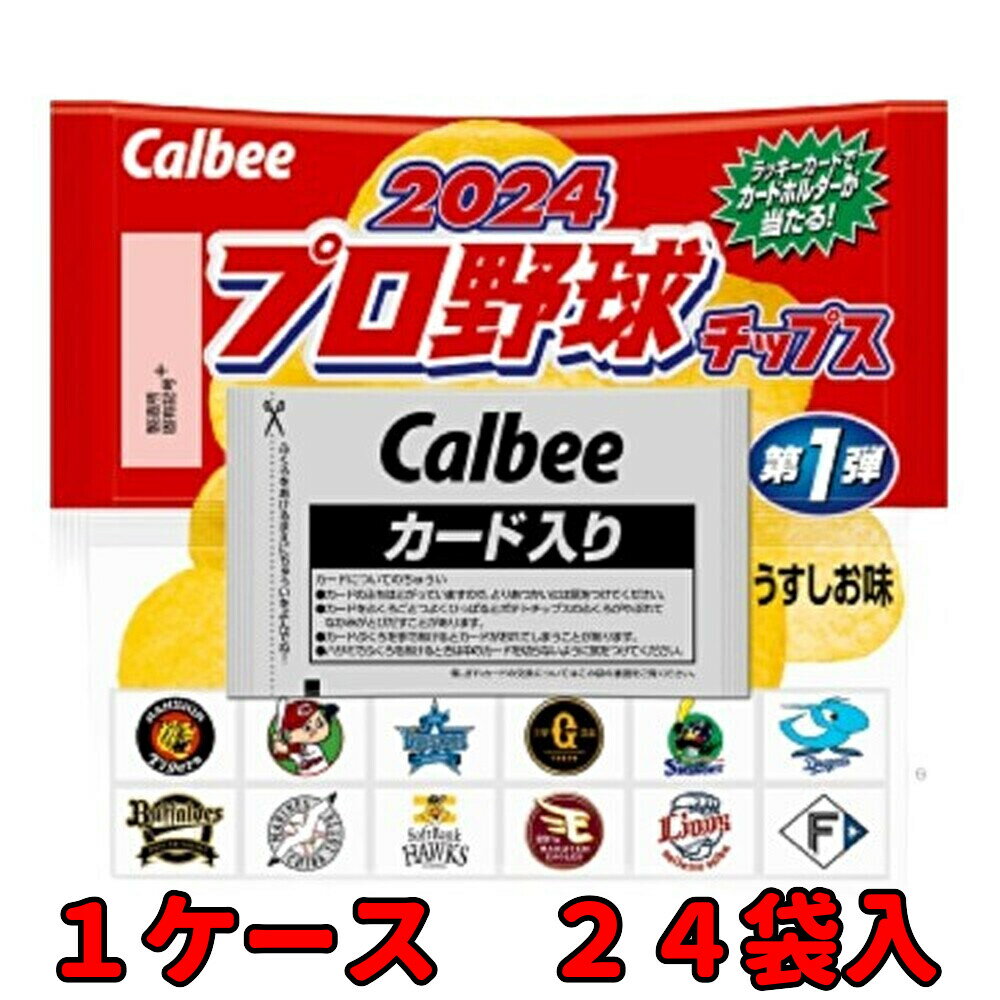 カルビー 2024 プロ野球チップス 第1弾 22g×24個×2箱 賞味期限2024/09