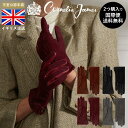 【2つ購入で国際便無料】Cornelia James公式 コーネリア ジェームズ Esmee Suede Glove with Leather Trim エスメ レザートリム付き スエード グローブ エチオピア産 スエード ピュアシルク 手袋 エレガンス