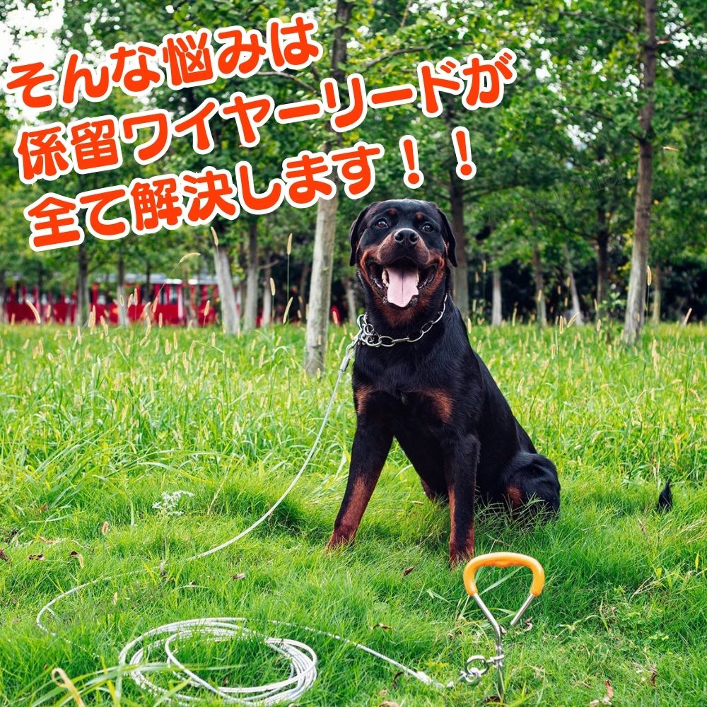 �磻�䡼�꡼�� �� ��α�꡼�� 3m 5m ���ޤʤ� �ɻ� ������ ���󥰥꡼�� �淿�� �磻�䡼������ �緿�� ���ʡ������֥� ���� ��α �꡼�� �磻�䡼 æ���ɻ� ������ �ȥ졼�˥� �����ȥɥ� ���� ��ڤߤĤ��к� ���� �ʥ����� ���� ����