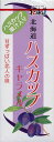 札幌グルメフーズ 北海道ハスカップキャラメル18粒×10箱　北海道お土産