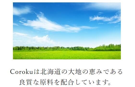 Coroku 小六 北海道メンズコスメ【雪男 洗顔パワダー60g】馬油、北海道産ペパーミント配合　北海道お土産 2