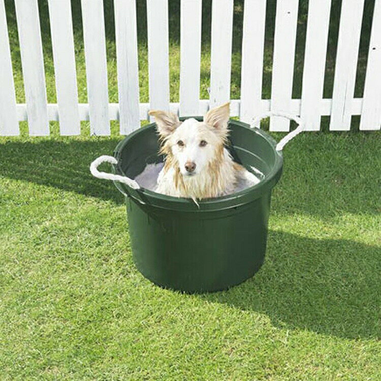 3M(スリーエム) イージーマルチクリーニングツール スターターキット MUL START MULSTART 洗濯用品