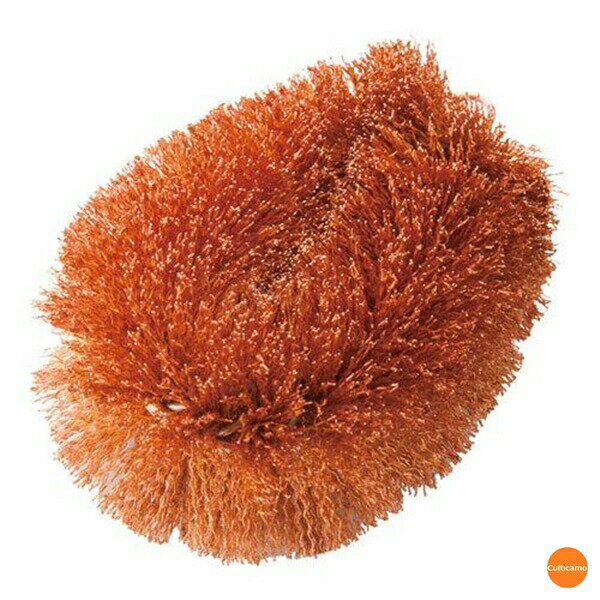 カウゼル　メタロンプリンス　L　抗菌タワシ　JTW-47［関連：COWGEL 業務用 清掃用品 厨房用 衛生管理 ..