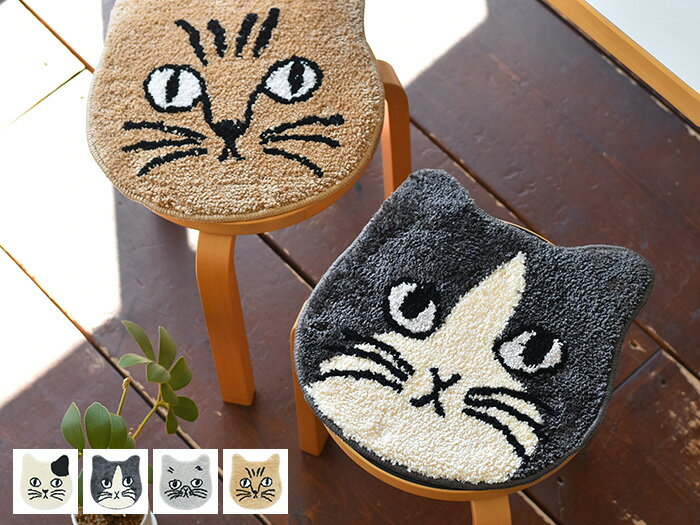 ~L `FApbh Cat Mat 2023AW