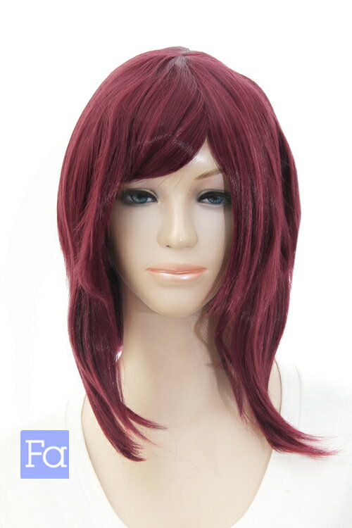 サイドロング 【ザクロ】【ウィッグネット付】 コスプレウィッグ 耐熱 ハロウィン 夏コミ 文化祭 宴会 ..