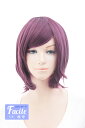 ショートボブ 【アメジスト】【ウィッグネット付】コスプレウィッグ 耐熱(042 bo-t1716)