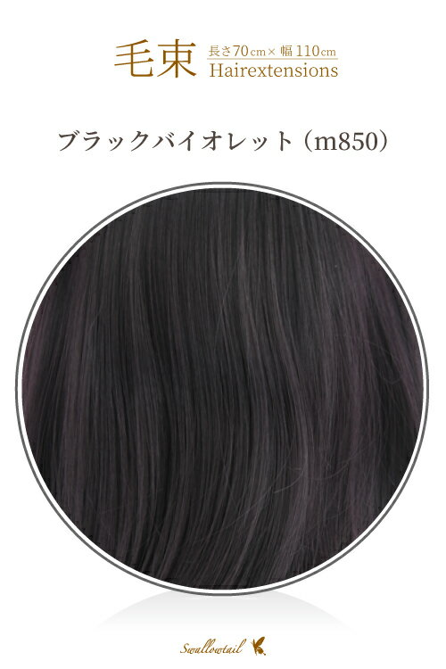 « 70x100cmڥ֥åХåȡǮ « å(062 ex-m850)