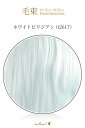 毛束 70x100cm【ホワイトビリジアン】耐熱 加工用ウイッグ(098 ex-t2617)