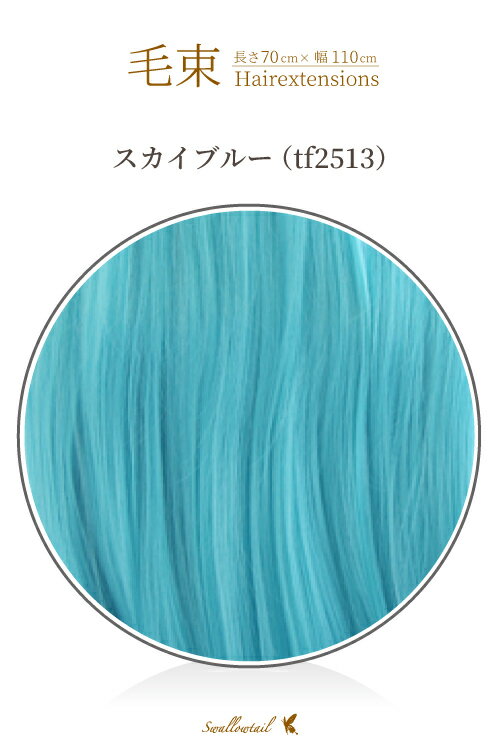 « 70x100cmڥ֥롼Ǯ «å 忧 (047 ex-tf2513)