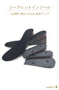 シークレットインソール insole