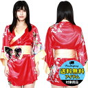 エロコス 高級花魁 太夫 レッド コスプレ 可愛い 花魁 着物 浴衣 ドレス 和服 コンパニオン キャバ ギャル ナイトドレス ハロウィン イベント 余興 宴会 仮装 学園祭 大人 コスチューム セクシー 衣装