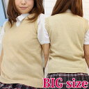 ニットベスト単品 BIG コスプレ 可愛い 大きいサイズ スクール 制服 アクセサリー 男女兼用 アニメ アイドル ハロウィン 女装 男の娘 余興 仮装 大人 コスチューム 衣装(3)
