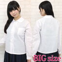 丸襟長袖シャツ単品 BIG コスプレ 可愛い 大きいサイズ スクール 制服 アクセサリー 男女兼用 アニメ アイドル ハロウィン 女装 男の娘 余興 仮装 大人...