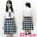 キリスト系私立女子校 夏制服 BIG コスプレ 可愛い 制服 スクール セーラー ブレザー ジャンパースカート 学生服 女子高生 アニメ アイドル 大きいサイズ 男女兼用 レディース メンズ 女装 男の娘 余興 大人 コスチューム 衣装